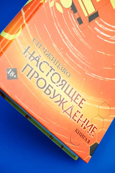 Настоящее пробуждение. Real Awakening. Книга 3 - фото 11