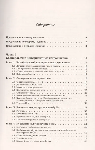 Классические калибровочные поля. Часть 1. Бозонные теории - фото 2