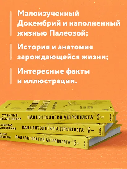Палеонтология антрополога. Том 1. Докембрий и палеозой. 2-е издание: исправленное и дополненное - фото 6
