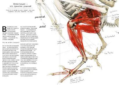 Рождение иллюстратора. Про творчество, выгорание, совместные проекты, продвижение, гонорары и авторские права - фото 4