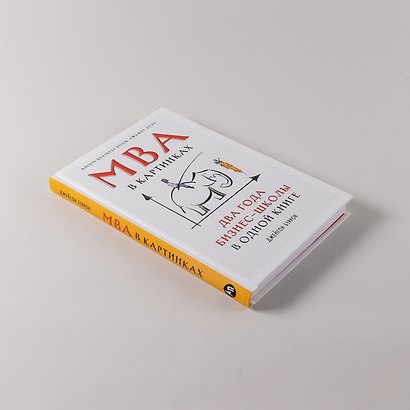 MBA в картинках: Два года бизнес-школы в одной книге - фото 5