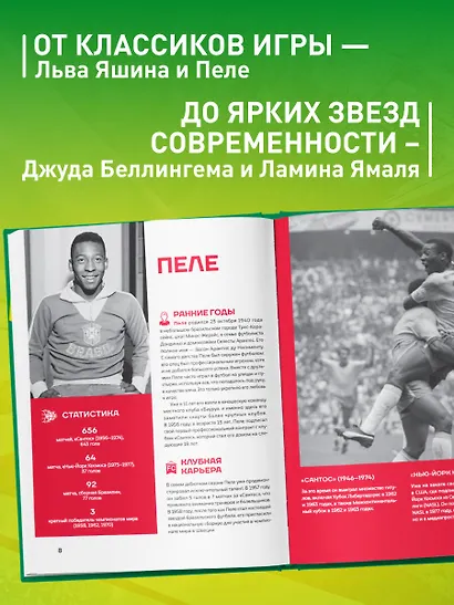 Легенды футбола. Звезды всех времен и величайшие игроки в истории футбола - фото 5