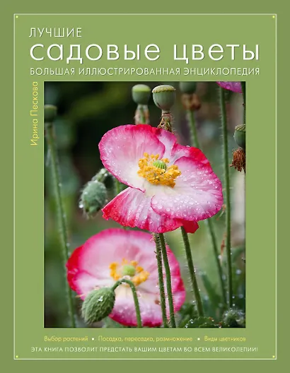 Лучшие садовые цветы. Большая иллюстрированная энциклопедия - фото 1