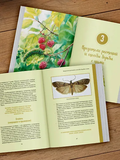 Шпаргалка для садовода. Практические советы по работам в малоуходном саду от Татьяны Селезневой - фото 10