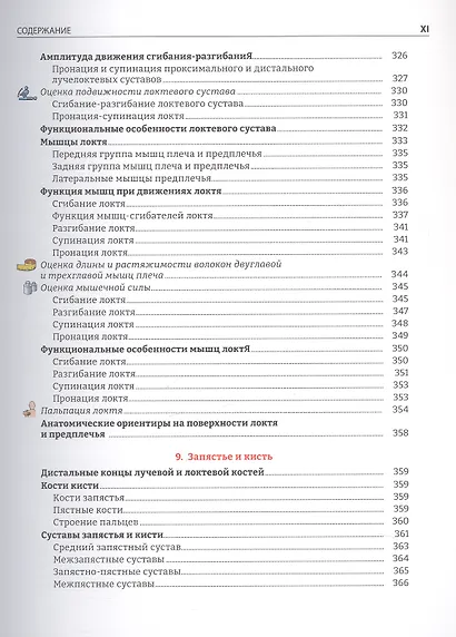 Руководство по кинезиологии. Функциональная анатомия. Биомеханика. Оценка состояния суставов и мышц - фото 14