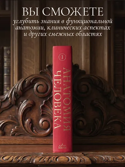 Анатомия человека. Эксклюзивное издание с 50-летней историей. Том 1 - фото 6