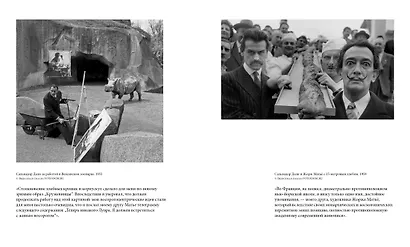 Дневник одного гения - фото 8