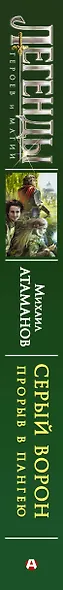 Серый ворон. Прорыв в Пангею - фото 4
