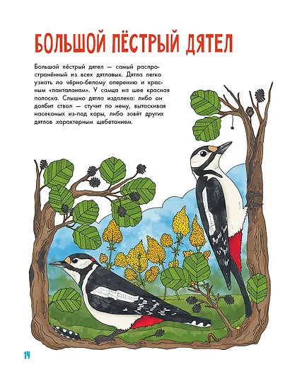 Птицы - фото 4