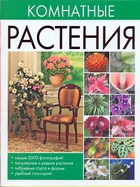 Комнатные растения - фото 1