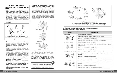 Биология - фото 8
