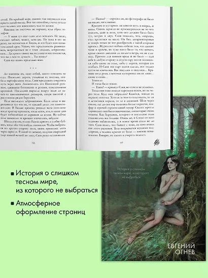 Тихое - фото 5