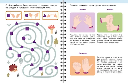 Тренажёр. Увлекательные задания для развития мозга для детей 3-5 лет - фото 9