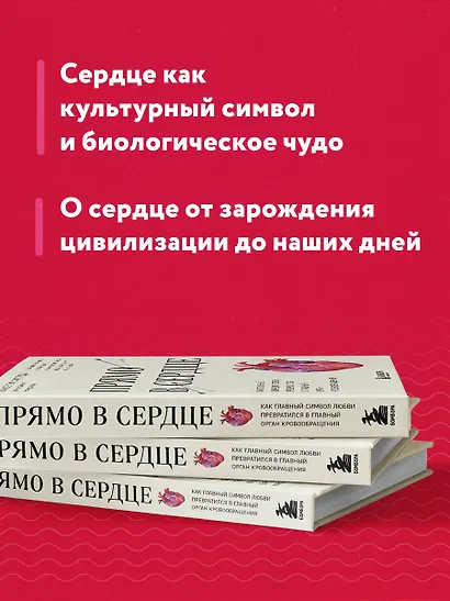 Прямо в сердце. Как главный символ любви превратился в главный орган кровообращения - фото 6