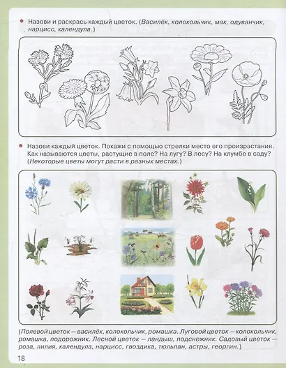 Я знаю: Мир растений. Мир животных. Мир человека. Окружающий мир в вопросах и заданиях - фото 2