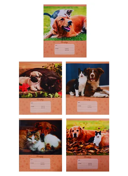 Тетрадь в клетку Unnika, "Лучшие друзья", 12 листов, в ассортименте - фото 4