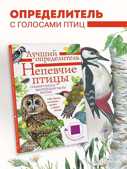 Непевчие птицы. Средняя полоса европейской части России. Определитель с голосами птиц - фото 4