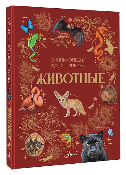 Животные - фото 3