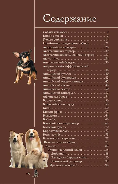Собаки. Лучший иллюстрированный гид - фото 3
