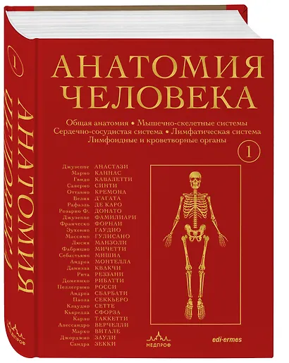 Анатомия человека. Эксклюзивное издание с 50-летней историей. Том 1 - фото 3