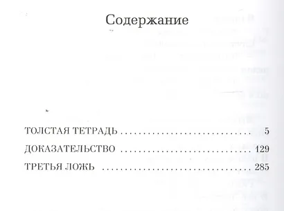 Толстая тетрадь - фото 3