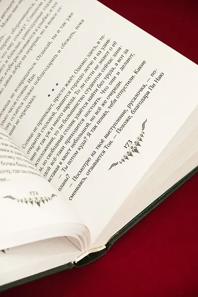 Дитя Меконга - фото 12