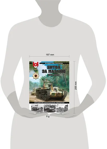 Битва за Малайю 1941–1942: Крушение Британской империи - фото 4