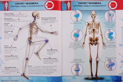 Нескучная физика. Анатомия. Космос. 4D Энциклопедии в дополненной реальности (комплект из 3 книг) - фото 3