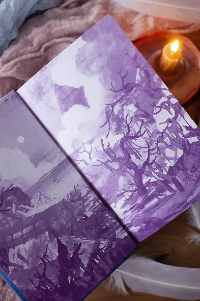 Киоко. Милосердие солнца - фото 9