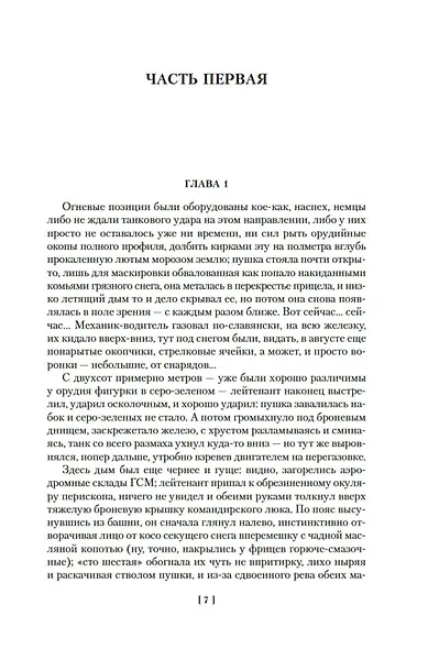 Сладостно и почетно. Ничего кроме надежды - фото 13