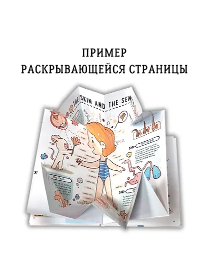 Книга с секретами. Секреты тела человека - фото 9