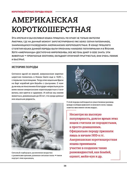 Кошки. Большая визуальная энциклопедия - фото 4