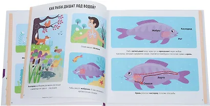 Первая энциклопедия для маленьких гениев. Как? - фото 2