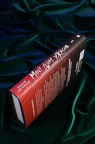 Мой дом ужасов. Книга 1 (My House of Horrors). Новелла - фото 10