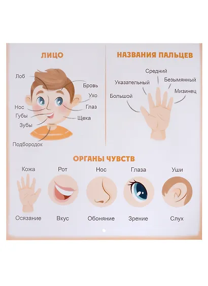 Подготовка к школе. Комплект обучающих плакатов - фото 5