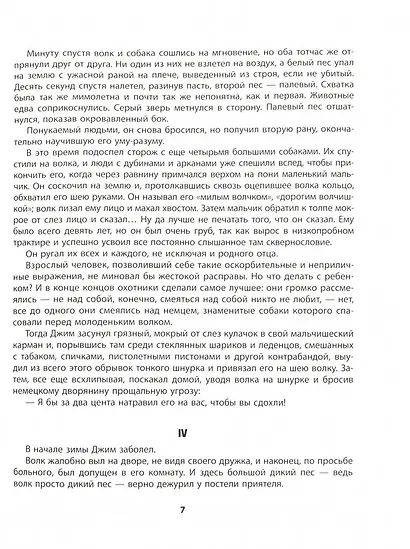 Медвежонок Джонни - фото 3