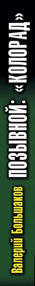 Позывной: «Колорад». Наш человек Василий Сталин - фото 5