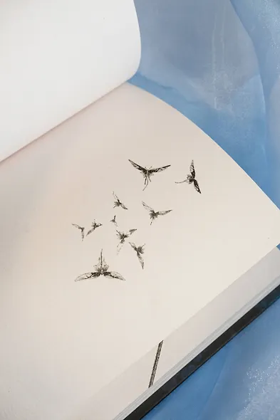 Сиаль - фото 11