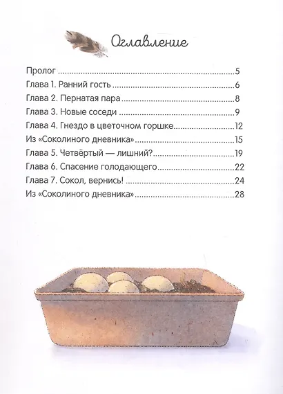 Мои соседи соколы - фото 6