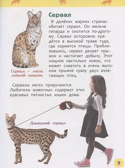 Дикие животные (Энциклопедия для детского сада) - фото 4