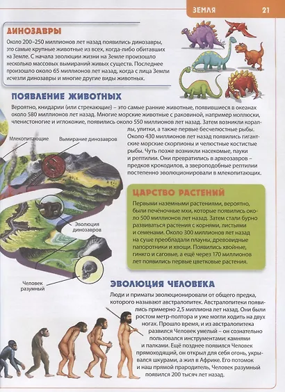 Будущему отличнику! Детская энциклопедия для младших школьников - фото 4