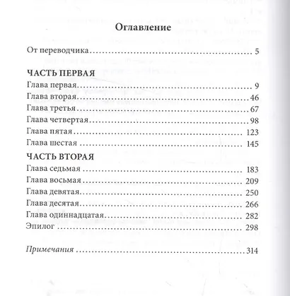 Шоша. Роман - фото 2