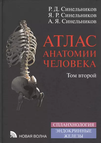 Атлас анатомии человека Т.2/4 Спланхнология Эндокринные железы (8 изд.) Синельников - фото 1