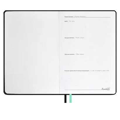 Ежедневник недат. А5 120л "Виннер" мятный, иск.кожа, мягкий переплет, блинт.тиснение, шелкография, офсет, ляссе - фото 3