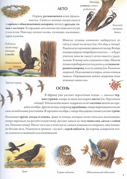 Книга о птицах. BIObook А. Толмачёва - фото 12
