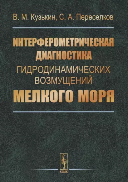 Интерферометрическая диагностика гидродинамических возмущений мелкого моря - фото 1