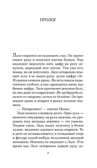 Татуировщик из Освенцима - фото 11