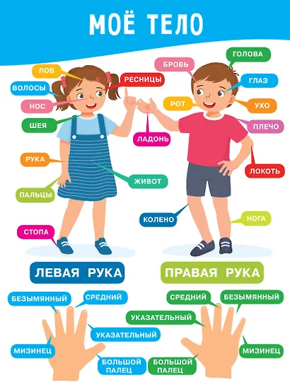 11 больших настенных плакатов для дошколят. Всё что нужно знать - фото 13