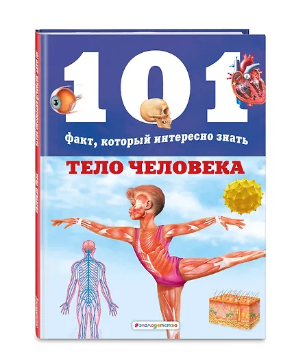 Тело человека - фото 3