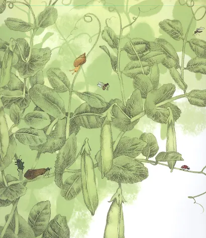 Пятеро из одного стручка - фото 2